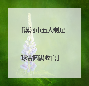 漠河市五人制足球赛圆满收官