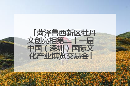 菏泽鲁西新区牡丹文创亮相第二十一届中国（深圳）国际文化产业博览交易会