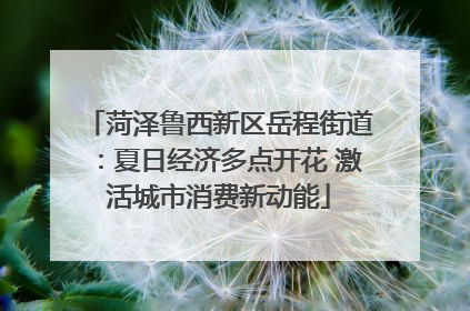 菏泽鲁西新区岳程街道：夏日经济多点开花 激活城市消费新动能