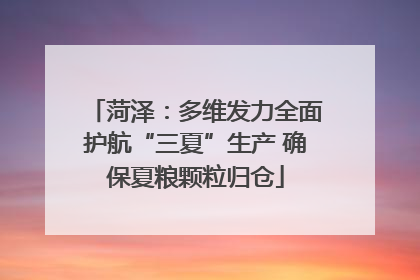 菏泽：多维发力全面护航“三夏”生产 确保夏粮颗粒归仓