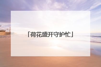 荷花盛开守护忙