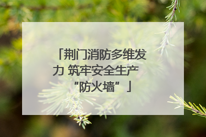 荆门消防多维发力 筑牢安全生产“防火墙”
