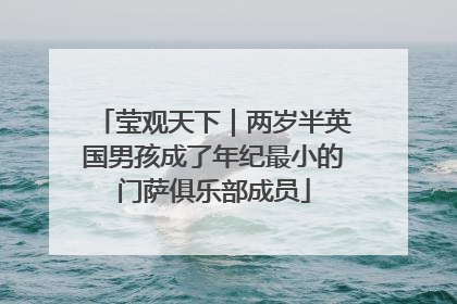莹观天下｜两岁半英国男孩成了年纪最小的门萨俱乐部成员