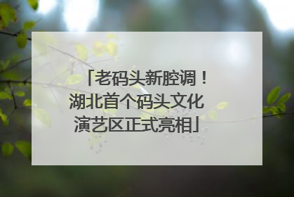 老码头新腔调！湖北首个码头文化演艺区正式亮相