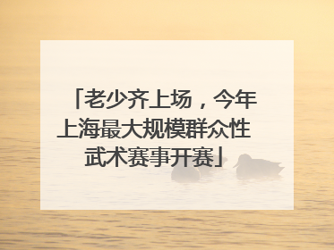 老少齐上场，今年上海最大规模群众性武术赛事开赛