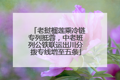 老挝榴莲乘冷链专列抵蓉，中老班列公铁联运出川分拨专线增至五条