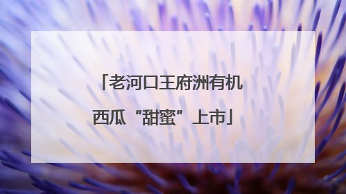 老河口王府洲有机西瓜“甜蜜”上市