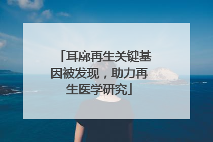 耳廓再生关键基因被发现，助力再生医学研究