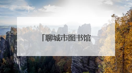 聊城市图书馆关于暑期延时开放的公告