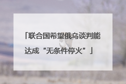 联合国希望俄乌谈判能达成“无条件停火”