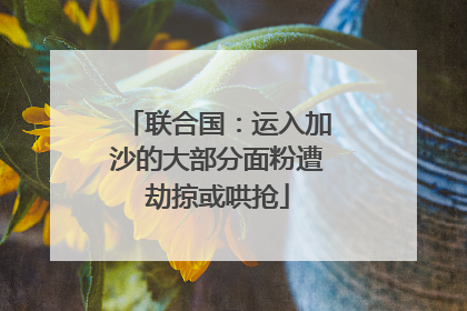 联合国：运入加沙的大部分面粉遭劫掠或哄抢