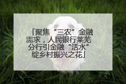 聚焦“三农”金融需求，人民银行莱芜分行引金融“活水”绽乡村振兴之花