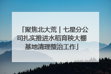 聚焦北大荒｜七星分公司扎实推进水稻育秧大棚基地清理整治工作