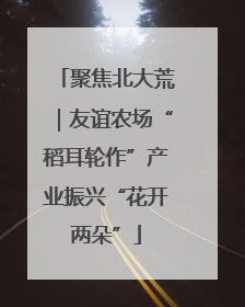 聚焦北大荒｜友谊农场“稻耳轮作”产业振兴“花开两朵”