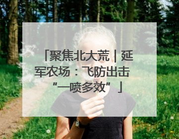 聚焦北大荒｜延军农场：飞防出击 “一喷多效”