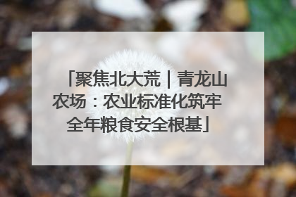 聚焦北大荒｜青龙山农场：农业标准化筑牢全年粮食安全根基