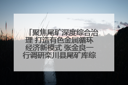 聚焦尾矿深度综合治理 打造有色金属循环经济新模式 张金良一行调研栾川县尾矿库综合治理工作