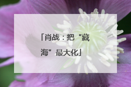肖战：把“藏海”最大化