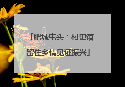 肥城屯头：村史馆留住乡情见证振兴