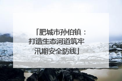 肥城市孙伯镇：打造生态河道筑牢汛期安全防线