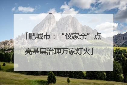 肥城市：“仪家亲”点亮基层治理万家灯火