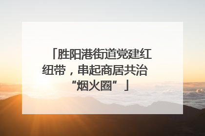 胜阳港街道党建红纽带，串起商居共治 “烟火圈”