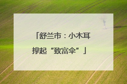 舒兰市：小木耳撑起“致富伞”