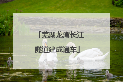 芜湖龙湾长江隧道建成通车