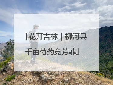 花开吉林｜柳河县千亩芍药竞芳菲
