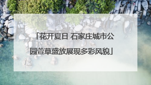 花开夏日 石家庄城市公园萱草盛放展现多彩风貌