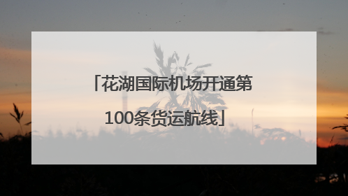 花湖国际机场开通第100条货运航线