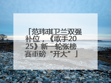 范玮琪卫兰双强补位，《歌手2025》新一轮张榜赛重磅“开大”
