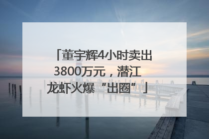 董宇辉4小时卖出3800万元，潜江龙虾火爆“出圈”