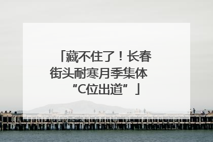 藏不住了！长春街头耐寒月季集体“C位出道”