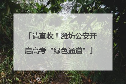 请查收！潍坊公安开启高考“绿色通道”