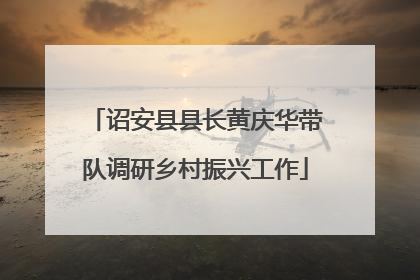 诏安县县长黄庆华带队调研乡村振兴工作