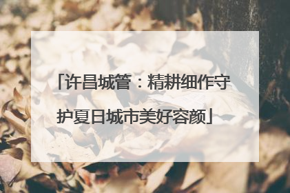 许昌城管：精耕细作守护夏日城市美好容颜