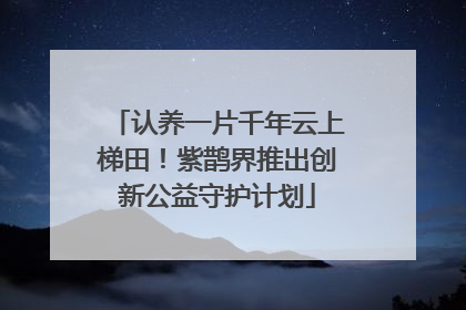 认养一片千年云上梯田！紫鹊界推出创新公益守护计划