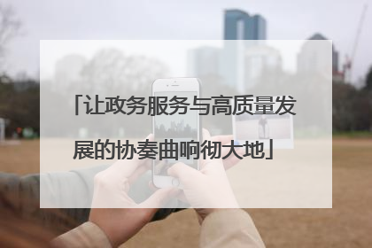 让政务服务与高质量发展的协奏曲响彻大地