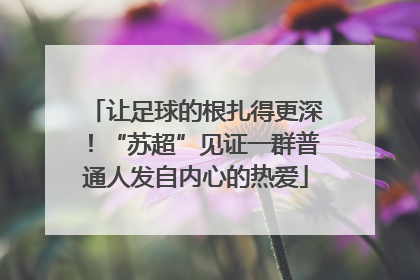 让足球的根扎得更深！“苏超”见证一群普通人发自内心的热爱