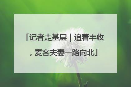 记者走基层｜追着丰收，麦客夫妻一路向北