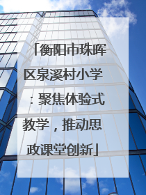 衡阳市珠晖区泉溪村小学：聚焦体验式教学，推动思政课堂创新