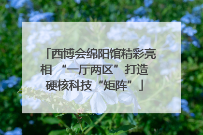 西博会绵阳馆精彩亮相 “一厅两区”打造硬核科技“矩阵”