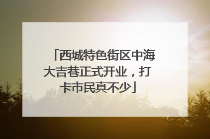 西城特色街区中海大吉巷正式开业，打卡市民真不少