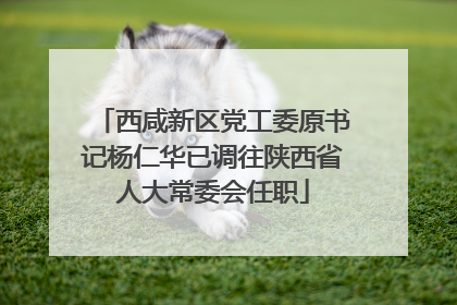 西咸新区党工委原书记杨仁华已调往陕西省人大常委会任职