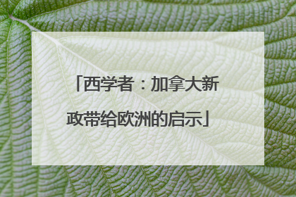 西学者：加拿大新政带给欧洲的启示