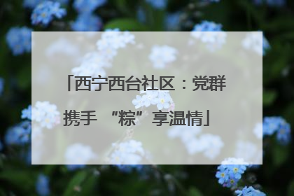 西宁西台社区：党群携手 “粽”享温情