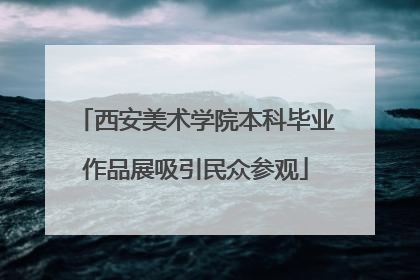 西安美术学院本科毕业作品展吸引民众参观