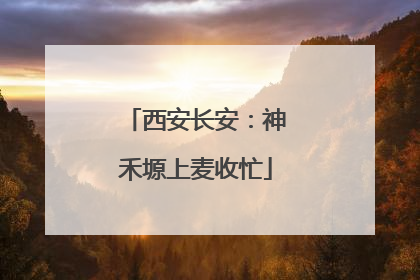 西安长安：神禾塬上麦收忙