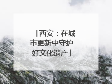 西安：在城市更新中守护好文化遗产